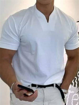 Men's T shirt Tee Plain V Neck Casual Holiday Short Sleeve Clothing Apparel Sports Fashion Lightweight Muscle
